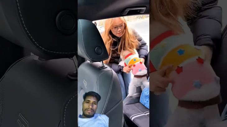 #Cut Puppy, #Dog Lover Pet Happiness#Baby #Hugpet Beautifully #heartlove#cute #pets#