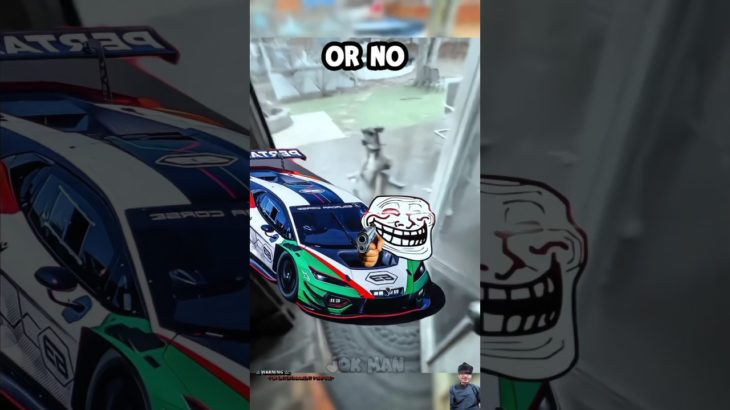 Dogs 🐕 can’t drift? #drift #pet #bmwm