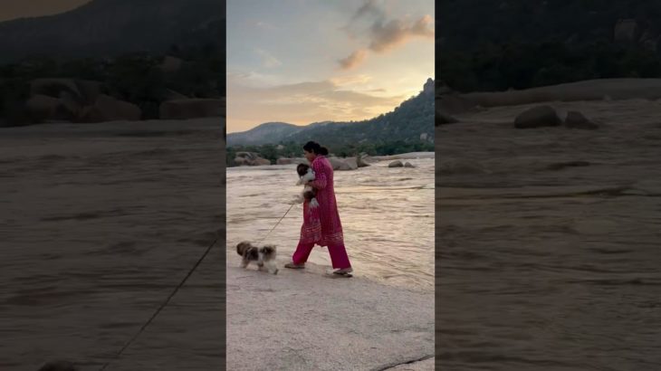 Life is all about happiness/ pet family vlog #life with pets #perfect paws