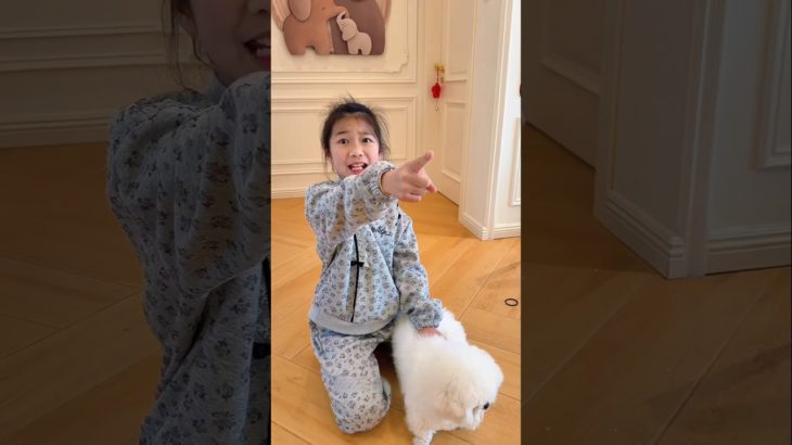 Only One Pet Allowed… So They Did THIS!