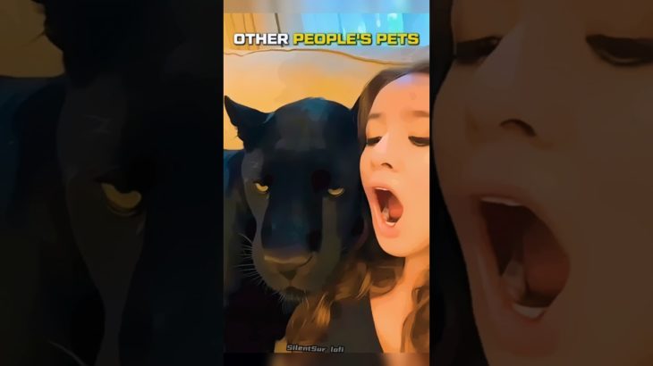 Other People’s Pet Vs This guy #shortvideo #shorts #trending