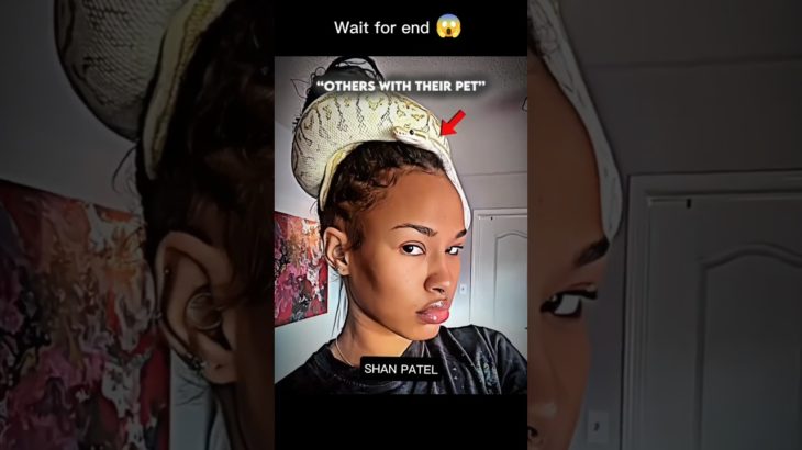 Others With Their Pet Vs. Last Guy 💀 #trinding #sorts