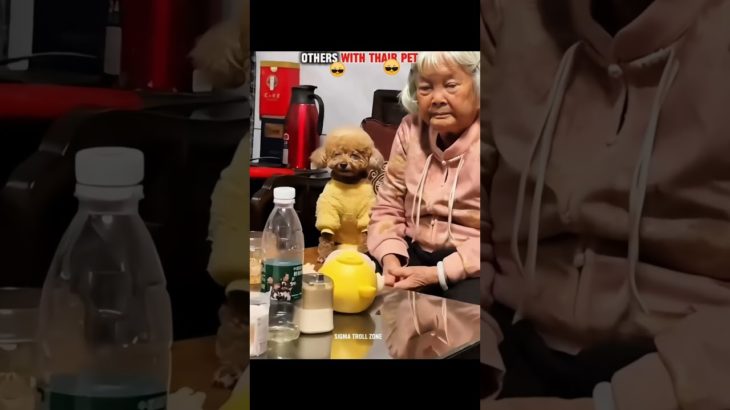 Others With Their Pet Vs. Last Guy with their pet💀