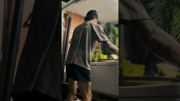 Pet Trout for my GIANT Indoor Pond…