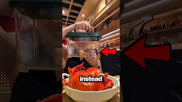 She Used Her Pet Crab for THIS! 😲