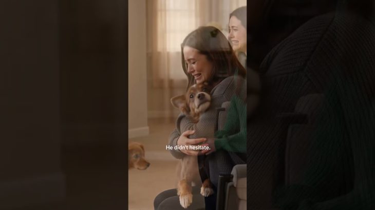 #ShepherdLastWish#GermanShepherd#DogShorts#shorts #love #pet #soldier #missyou  #goldenretriever