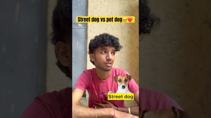 Street dog vs pet dog❤️🥹 #shorts #trending