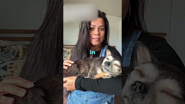 The HARDEST Job After Losing a Pet 🐾