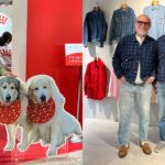 Vlog 220　インターペット&アレッサンドロ氏！充実した週末！