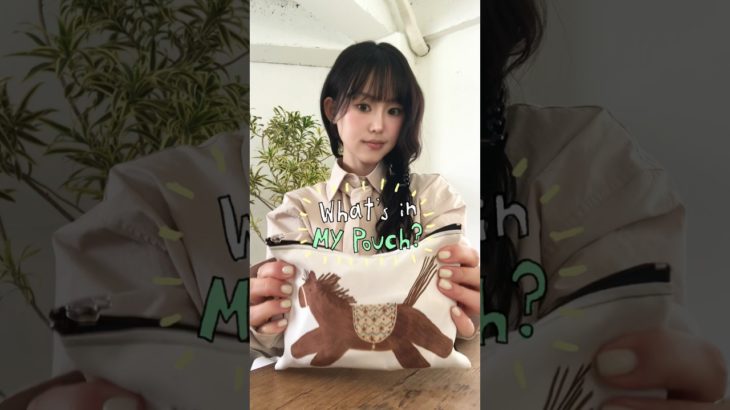 보부상의 왓츠인마이파우치👛대공개!!! #beauty