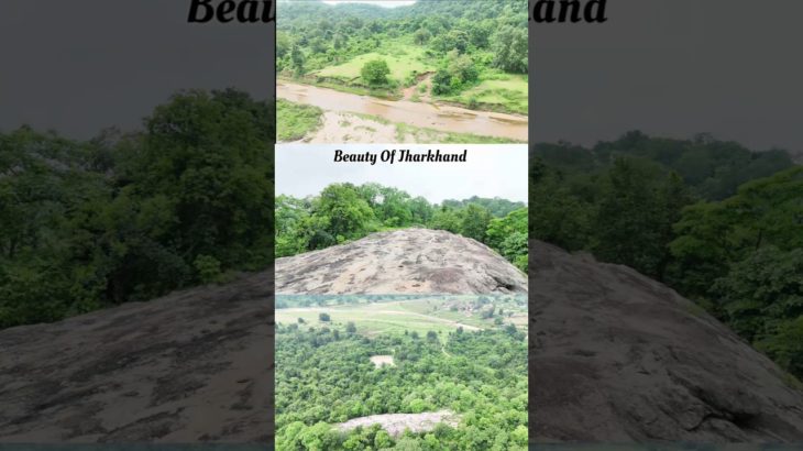 beauty of Jharkhand jungle 🏞️#jungle #Jharkhand