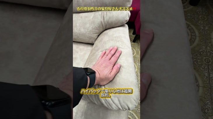「ペットがいるからお洒落なソファは諦めてる？それ、大間違いです！」大一家具が激推しするこの一台、見た目以上の実力が凄すぎる…！#家具 #furniture #sofa #大一家具