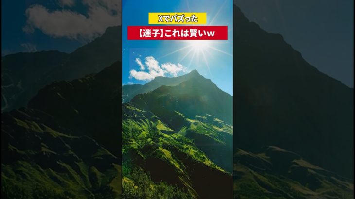 迷い犬 #shorts #面白い #おもしろ #ペット #マンション