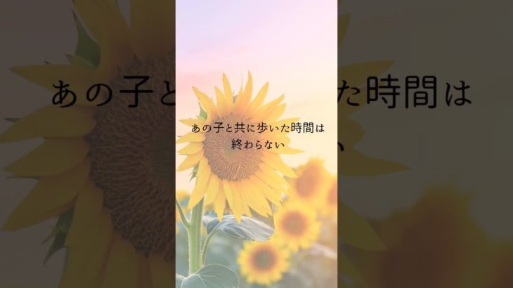 【お空のペット】かけがえのない時間　#アニマルコミュニケーション  #アニマルコミュニケーター  #スピリチュアルヒーラー  #ペットロス  #ペット  #タロットカード  #shorts