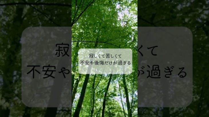 【お空はペット】寂しくて苦しくて…  #アニマルコミュニケーション  #アニマルコミュニケーター  #スピリチュアルヒーラー　#ペットロス  #ペット  #タロットカード  #shorts