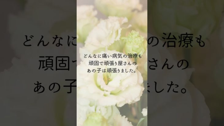 【お空のペット】あなたへのお返し　#アニマルコミュニケーション  #アニマルコミュニケーター  #スピリチュアルヒーラー  #ペットロス  #タロットカード  #ペット  #shorts