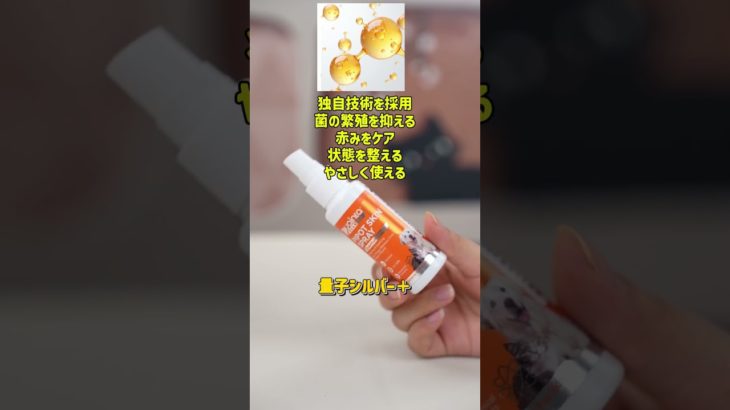 プアインタ ペットのスプレーで趾間炎ケア｜わんちゃんの毎日のやさしい足元ケア #プアインタ ペット #趾間炎 #犬用スプレー #肉球ケア #足裏ケア