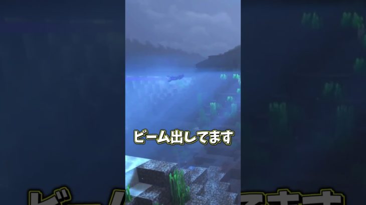 【マイクラ】魔法の世界でリヴァイアサンをペットにすると…?【ゆっくり実況】
