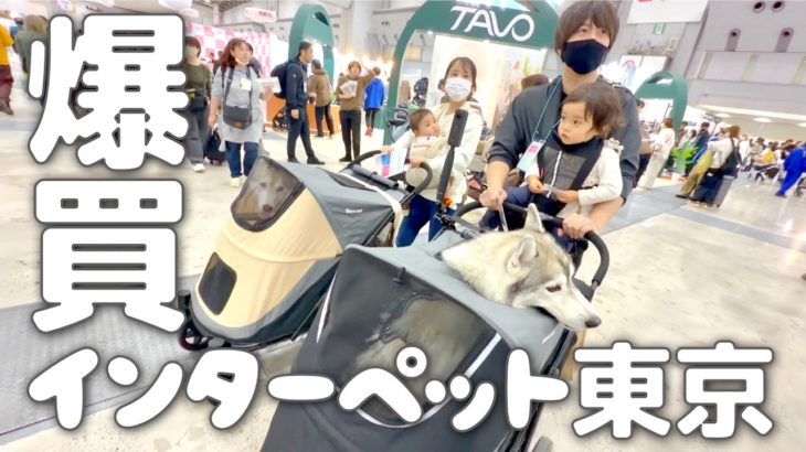 ペット市場の最前線では物欲を抑えるのが難しすぎました…笑