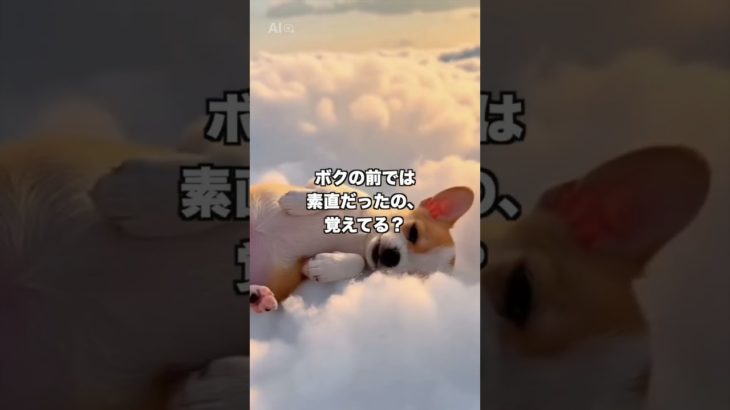 『ずっと見てるよ。』#感動 #泣ける #ペットロス