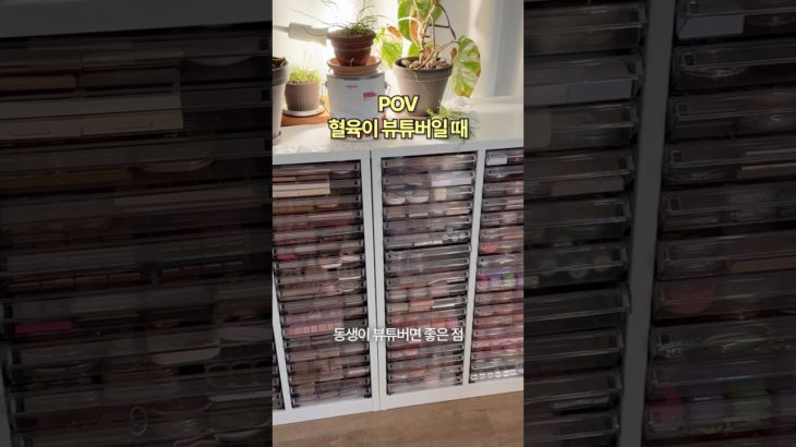 언니 내가 뷰튜버라 좋지