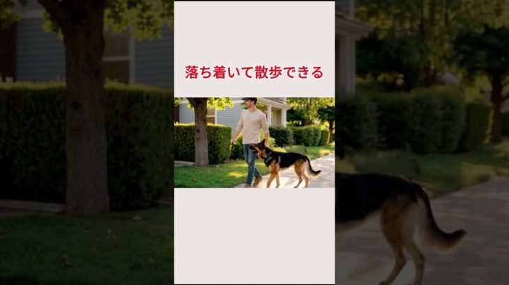 体の大きいワンちゃんの魅力は・・・ #ペット #ペットロス #バーニーズマウンテンドッグ  #シェパード  #ゴールデンレトリバー