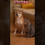 飼い主のオナラに対するペット達の反応が人間すぎるw #shorts