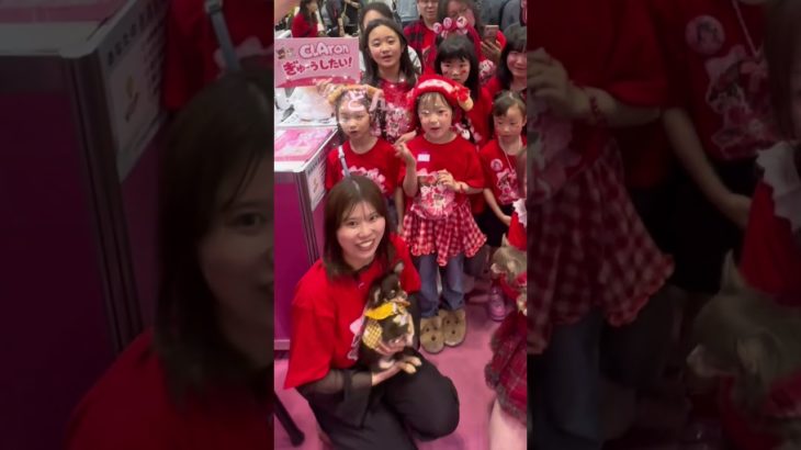 インターペットに行ったらミニわんわんアイドル大集合したwww #tiktok #shorts